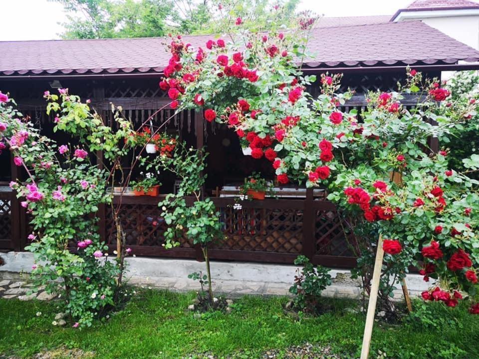 Hotel Pensiunea Cassandra Targu Neamt Exterior foto